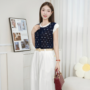 Phan Anh Rose